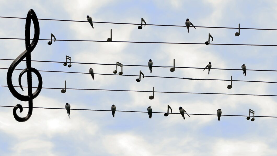 des oiseaux et des notes de musique sur des fils électriques comme une partition