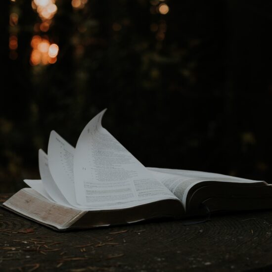 un livre ouvert
